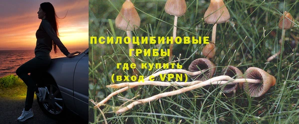 прущая мука Бугульма