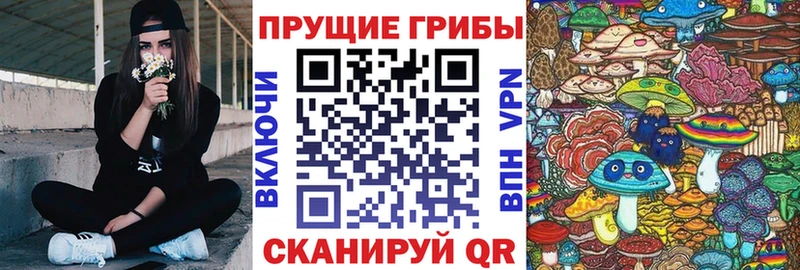 Псилоцибиновые грибы Cubensis  Навашино 